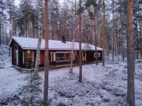 Mökki Lahtela Puumala